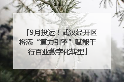 9月投运！武汉经开区将添“算力引擎”赋能千行百业数字化转型