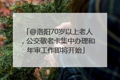 @洛阳70岁以上老人，公交敬老卡集中办理和年审工作即将开始