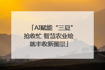 AI赋能“三夏”抢收忙 智慧农业绘就丰收新图景