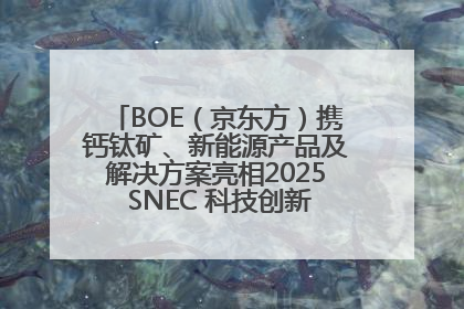 BOE（京东方）携钙钛矿、新能源产品及解决方案亮相2025 SNEC 科技创新赋能行业绿色发展