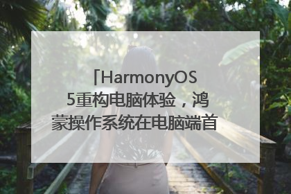 HarmonyOS 5重构电脑体验，鸿蒙操作系统在电脑端首次亮相丨新经济观察