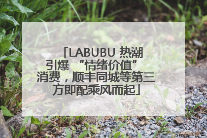 LABUBU 热潮引爆 “情绪价值” 消费，顺丰同城等第三方即配乘风而起