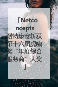 Netconcepts耐特康赛斩获第十六届虎啸奖“年度综合服务商”大奖