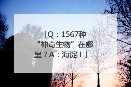 Q：1567种“神奇生物”在哪里？A：海淀！