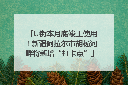 U街本月底竣工使用！新疆阿拉尔市胡杨河畔将新增“打卡点”